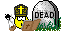 :r.i.p.: